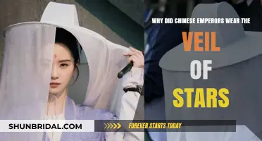 The Veil of Stars: Unveiling Chinese Emperors' Celestial Symbolism