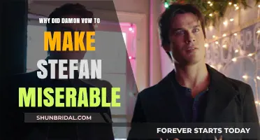Damon's Revenge: Unraveling His Vow to Torment Stefan's Life