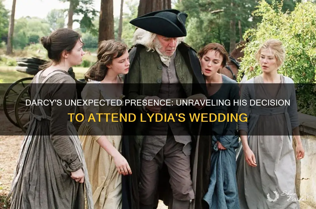 why did darcy go to lydia
