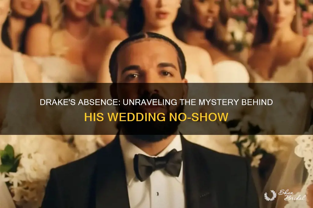 why did drake not go to the wedding