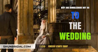 Dumbledore's Absence: Unraveling the Mystery Behind His Wedding No-Show