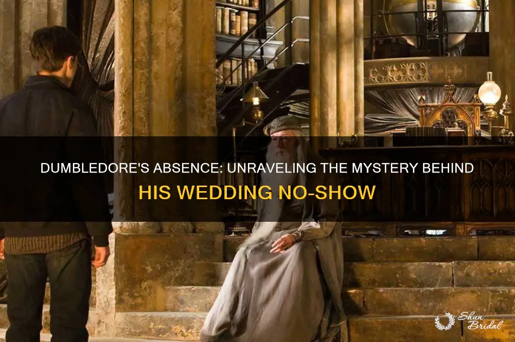 Dumbledore's Absence Unraveling The Mystery Behind His Wedding NoShow
