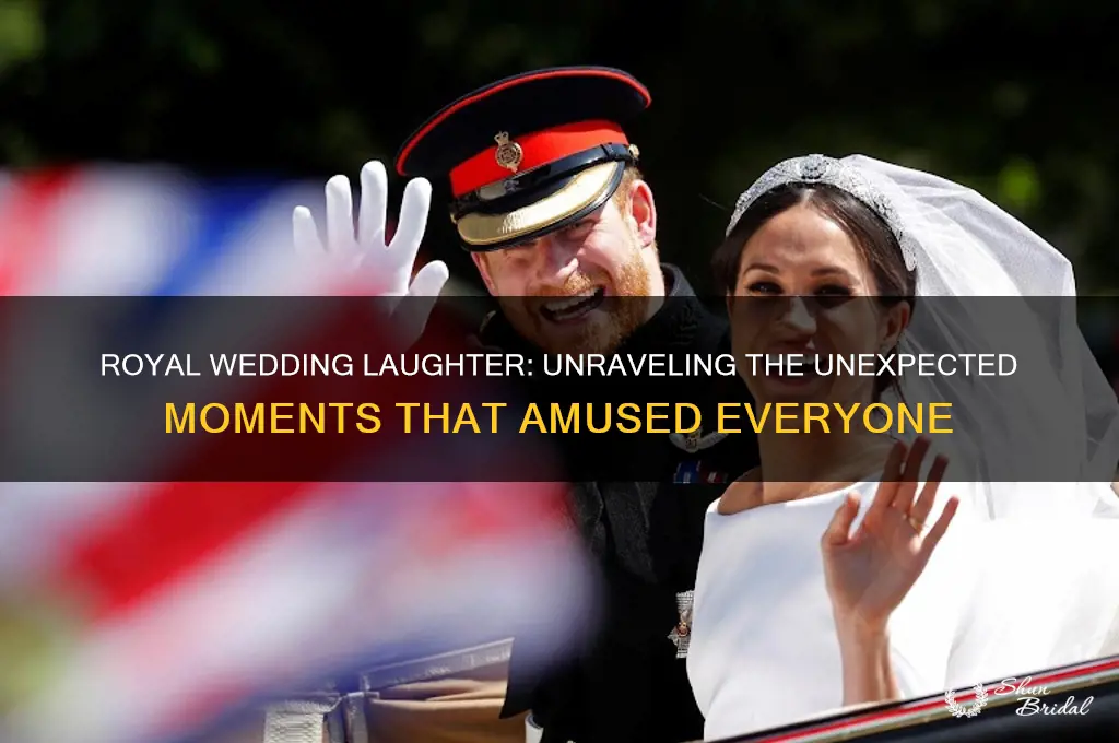 why did everyone laugh at royal wedding