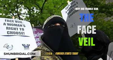 France's Face Veil Ban: Unveiling the Reasons Behind the Law