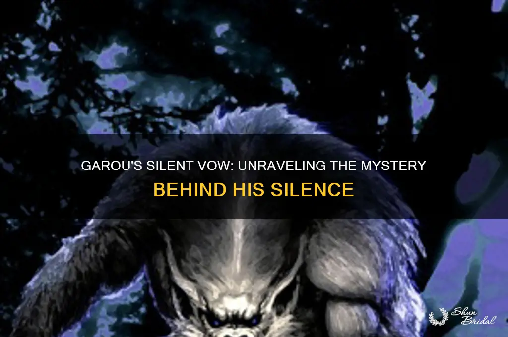 why did garou take a vow of silence