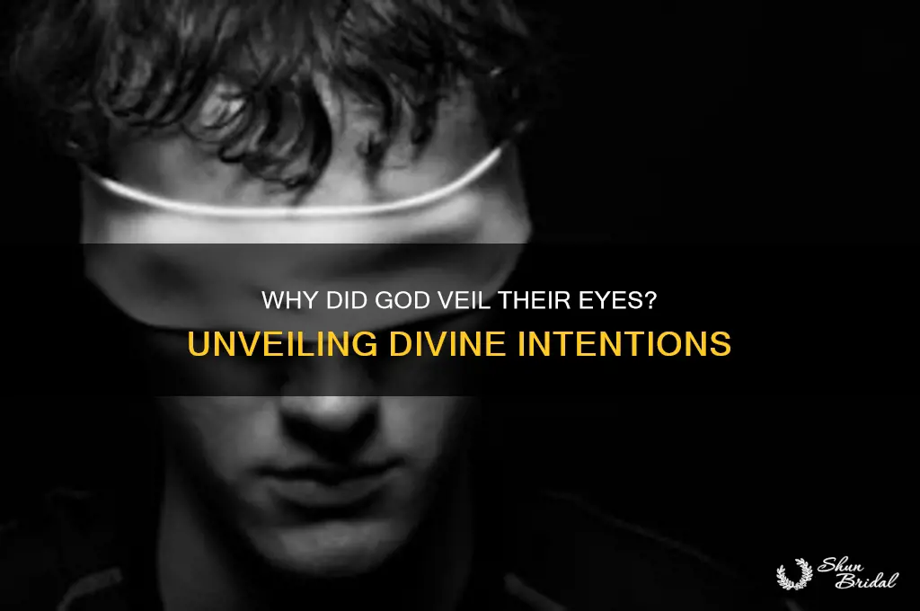 why did god put a veil over their eyes