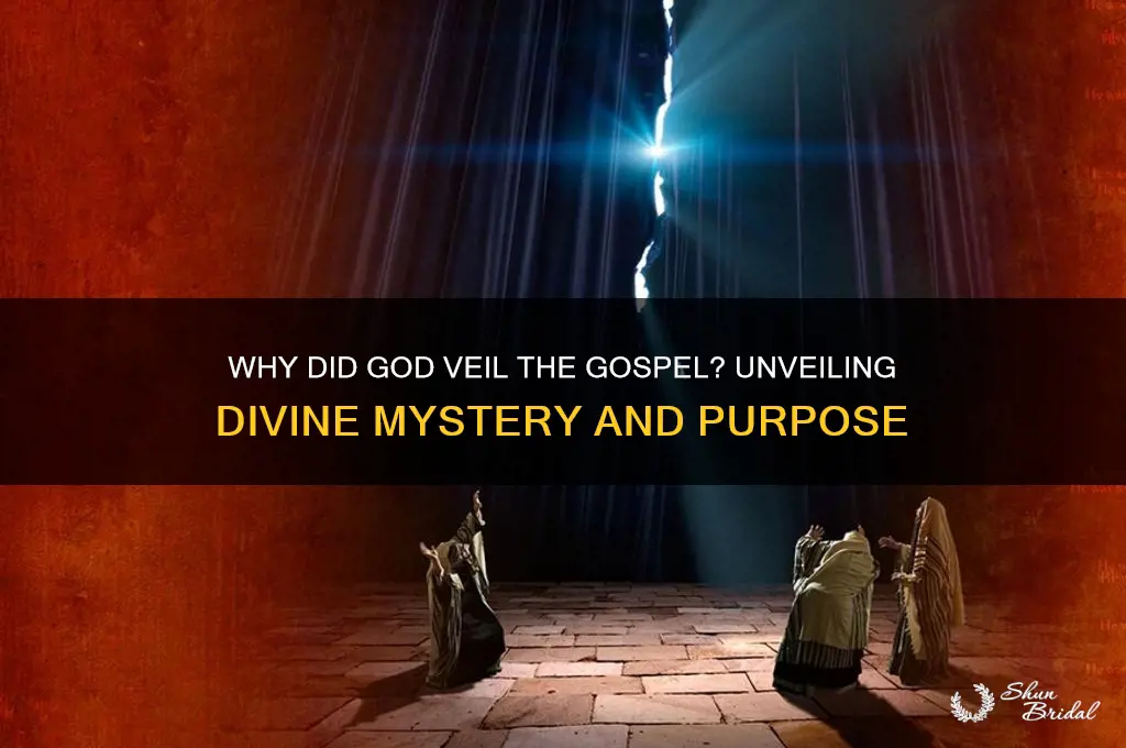 why did god veil the gospel