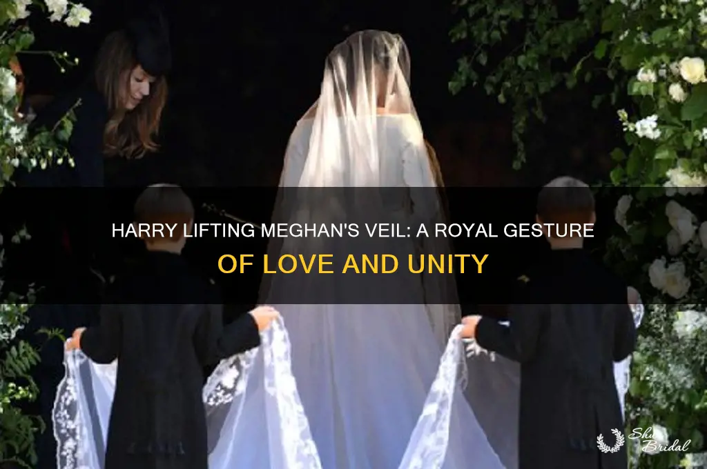 why did harry lift meghan