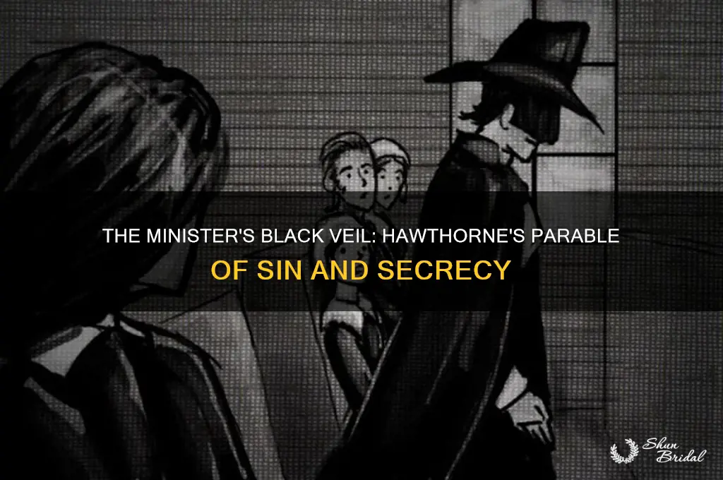 why did hawthorne call the minister