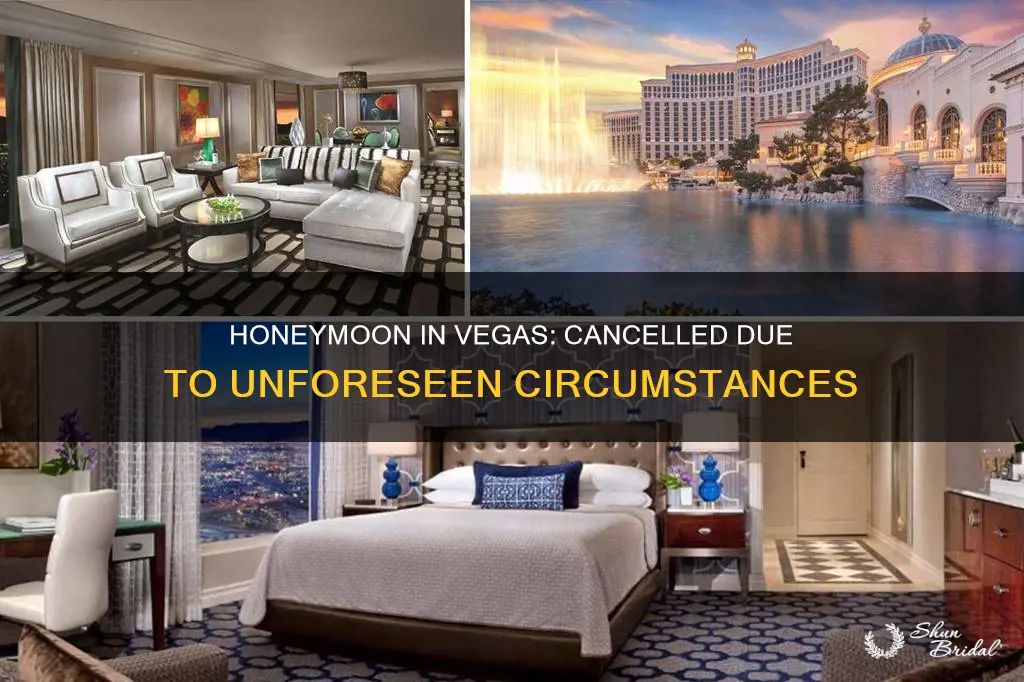 why did honeymoon in vegas get cancelled
