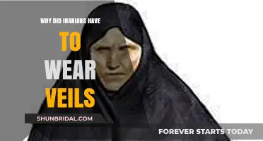 Unveiling History: The Cultural and Political Origins of Iranian Veils