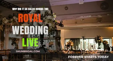 Royal Wedding Blackout: Unraveling the Sudden Live Stream Disruption