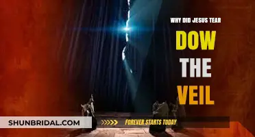 Why Jesus Tore the Veil: Unveiling Divine Access and Redemption