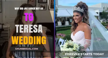 Joe Gorga Skips Teresa's Wedding: Unraveling the Family Drama
