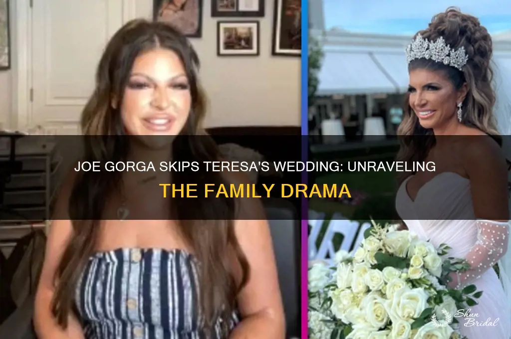 why did joe gorga not go to teresa wedding