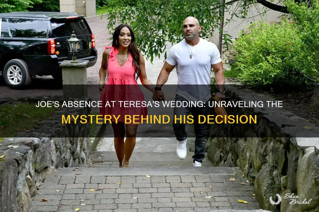 why did joe not go to teresa