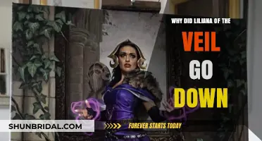 Liliana of the Veil's Price Drop: Causes and Market Impact