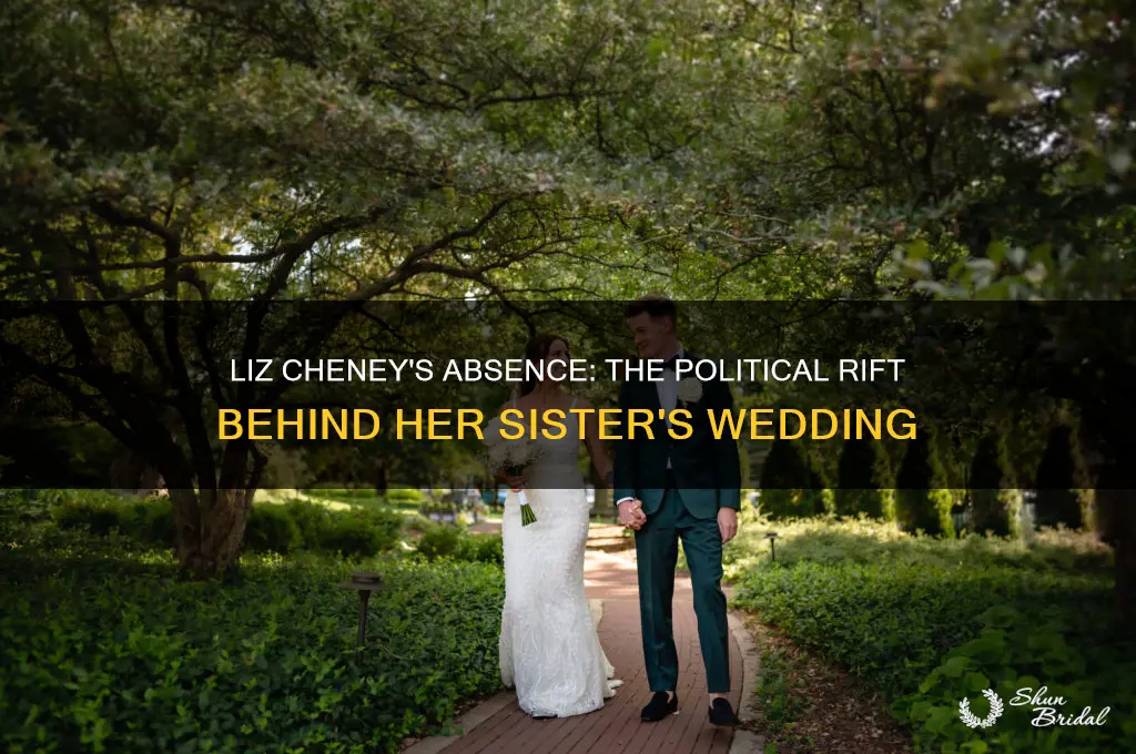 why did liz cheney not go to her sister