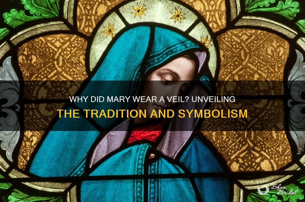 why did mary wear a veil