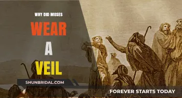 Why Did Moses Wear a Veil? Unveiling the Biblical Mystery