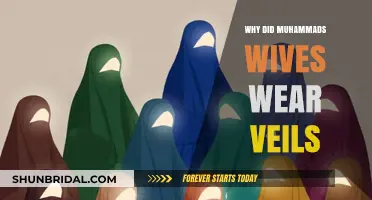 Why Muhammad's Wives Wore Veils: Historical and Cultural Insights