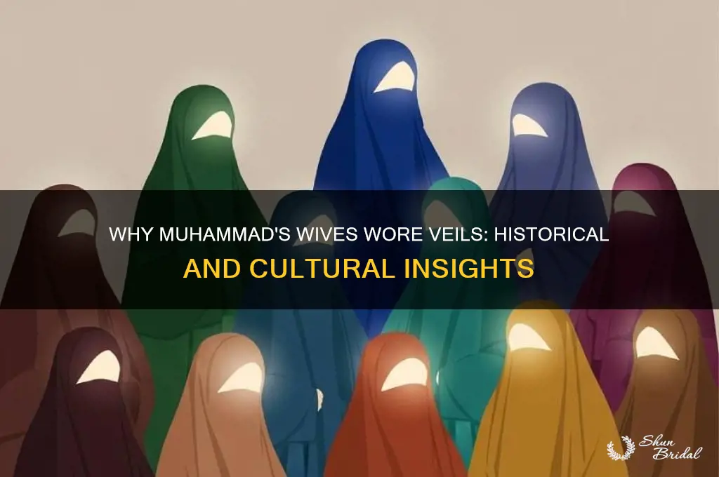 why did muhammads wives wear veils