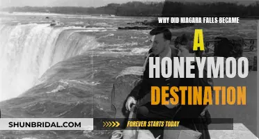 Niagara Falls: A Romantic Honeymoon Destination