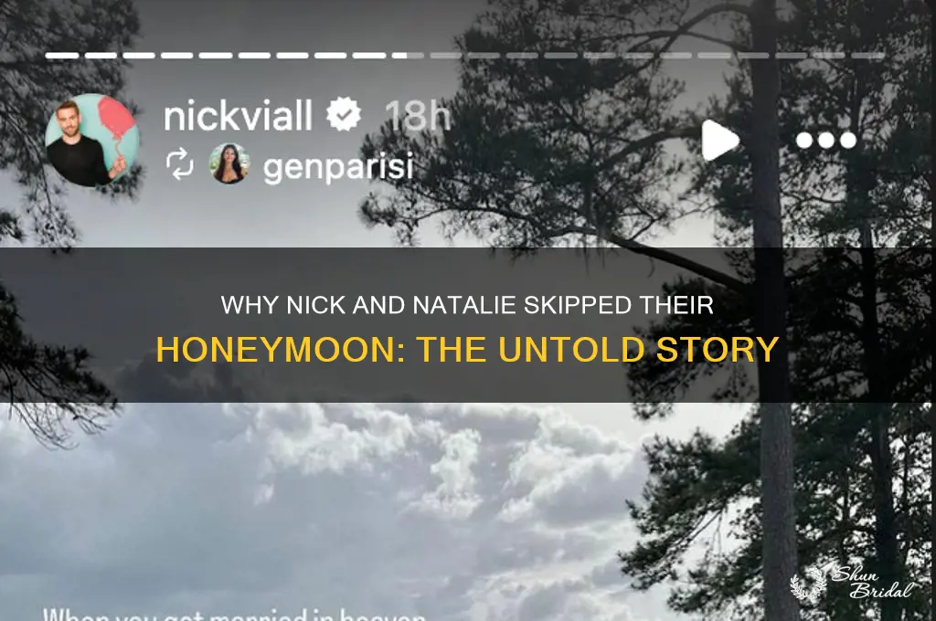 why did nick and natalie not go on honeymoon