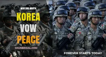 North Korea's Peace Pledge: Unraveling the Motives Behind the Vow