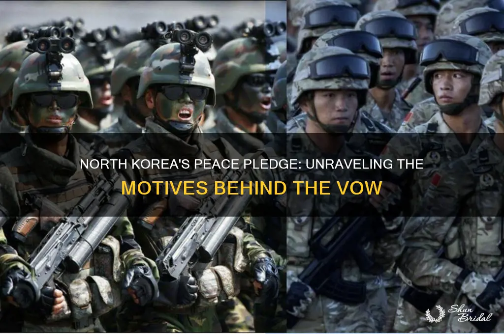 why did north korea vow peace