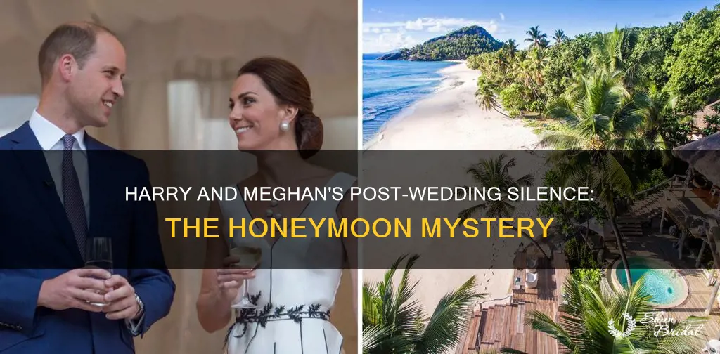 why did not meghan and harry go on a honeymoon