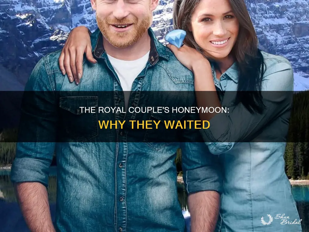 why did not meghan and harry go on a honeymoon