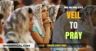 Why Paul Advocated Veiling for Prayer: Exploring 1 Corinthians 11