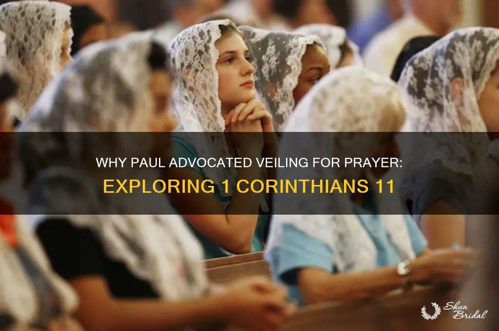 why did paul state veil to pray