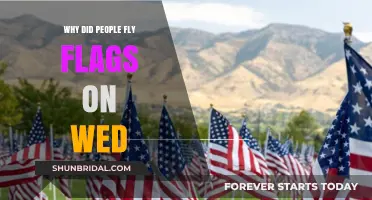 Why Wednesday Flag Displays Became a Popular Tradition Explained