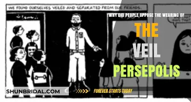 Persepolis Veil Opposition: Unraveling the Cultural and Political Resistance