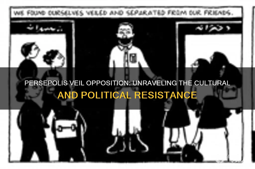 why did people oppose the wearing of the veil persepolis