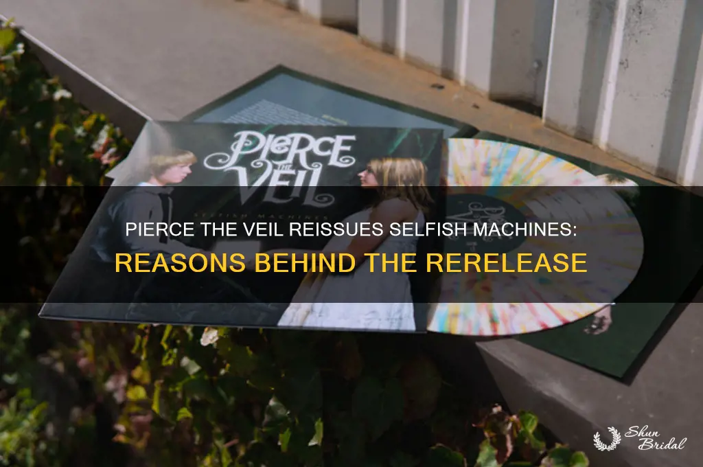 why did pierce the veil reissue selfish machines