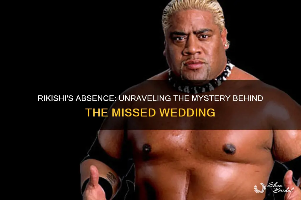 why did rikishi not go to the wedding
