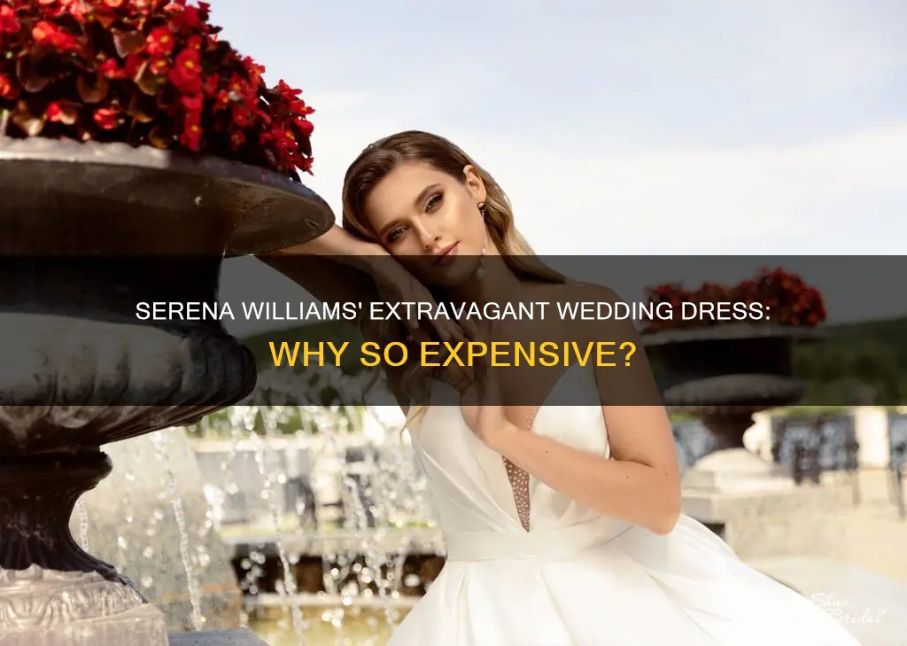 why did serena williams wedding dress cost so much