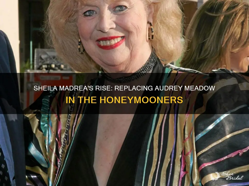 why did sheila madrea replace audrey meadow in the honeymooners