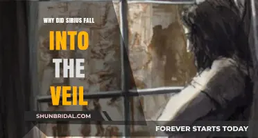 Sirius Black's Tragic Veil Fall: Unraveling the Heartbreaking Truth