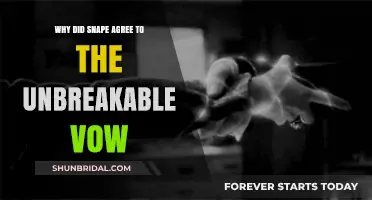 Snape's Unbreakable Vow: Loyalty, Love, and a Binding Promise