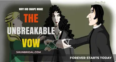 Snape's Unbreakable Vow: Loyalty, Love, and a Tragic Promise