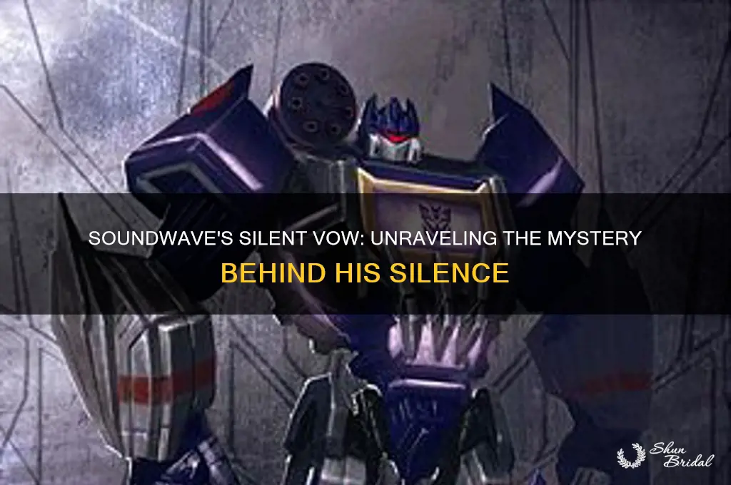 why did soundwave take a vow of silence