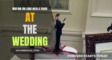 The Cake's Emotional Wedding Day