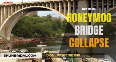 Honeymoon Bridge Collapse: What Caused This Disaster?