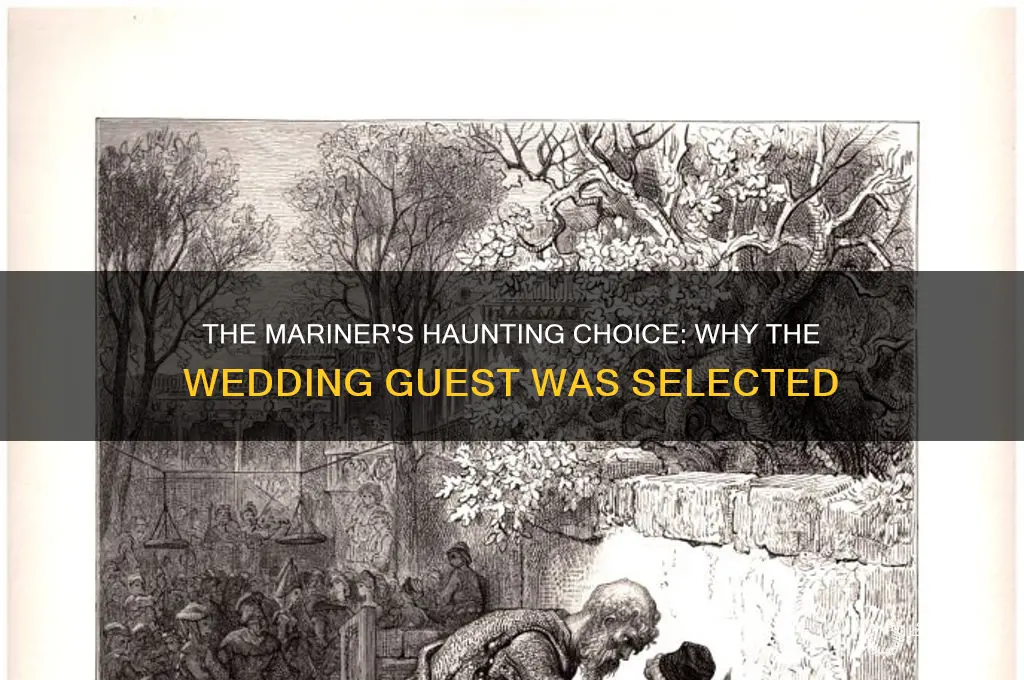 why did the mariner choose the wedding guest
