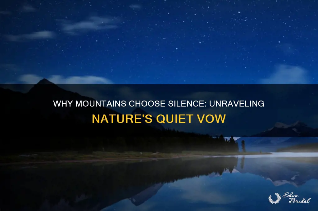 why did the mountain take a vow of silence