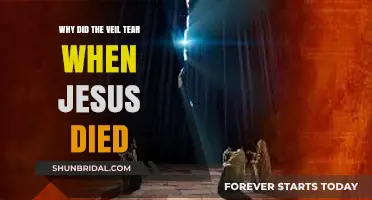 The Torn Veil: Unveiling the Divine Significance of Jesus' Death